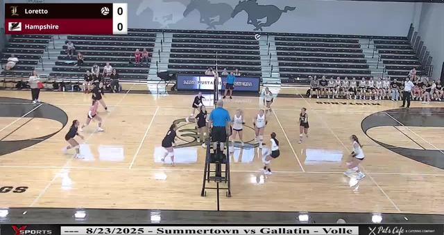 Volleyball image