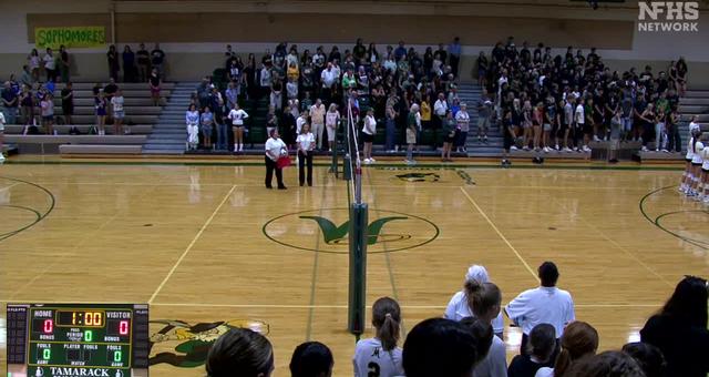 Volleyball image
